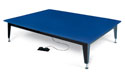 Bariatric Electric Mat Platform - Hausmann