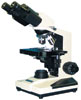 Microscope 